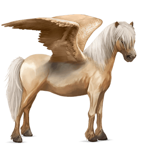 pegasus pony belgian riding pony palomino