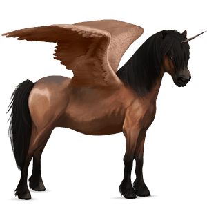 winged unicorn pony  belgian riding pony bay