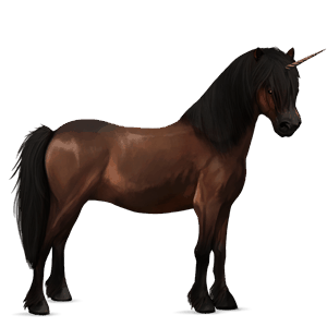 unicorn pony dark bay