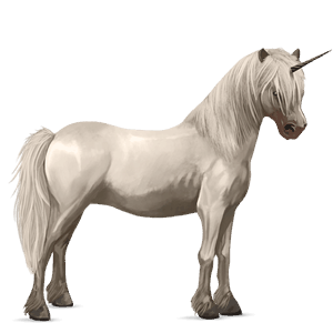 unicorn pony highland pony light gray