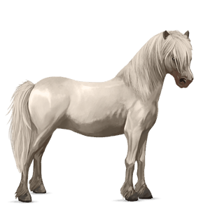 pony highland pony mouse gray