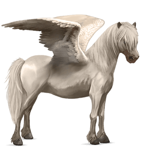 pegasus pony kerry bog black