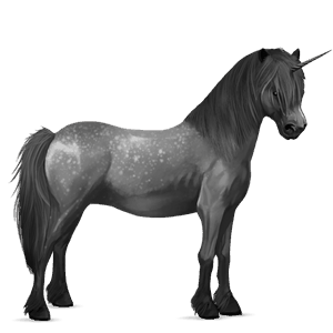 unicorn pony fjord brunblakk