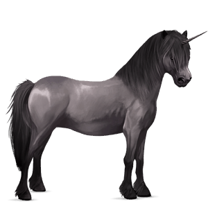 unicorn pony kerry bog bay