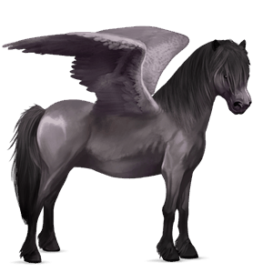 pegasus pony welsh mouse gray