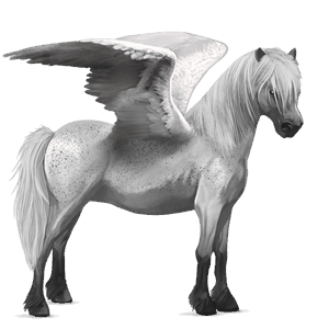 pegasus pony connemara fleabitten gray
