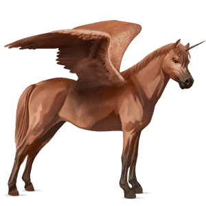 winged unicorn pony  welsh chestnut