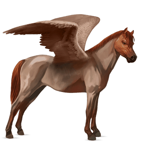 pegasus pony kerry bog light gray