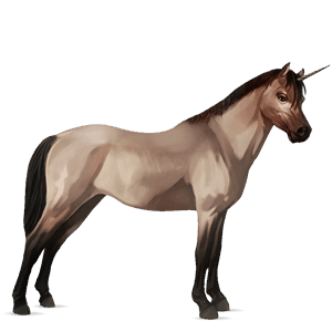 unicorn pony belgian riding pony roan