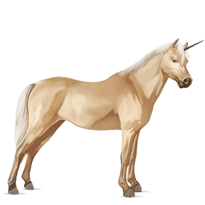 unicorn pony belgian riding pony palomino