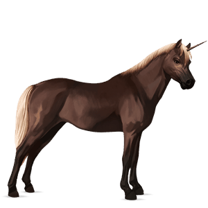 unicorn pony belgian riding pony flaxen liver chestnut 