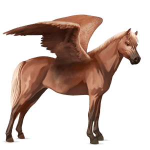 pegasus pony belgian riding pony flaxen chestnut 