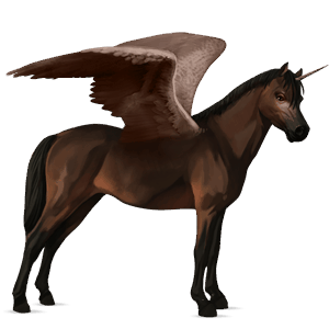 winged unicorn pony  welsh dark bay