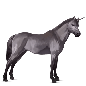 unicorn pony highland pony mouse gray