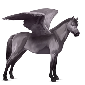 pegasus pony welsh mouse gray