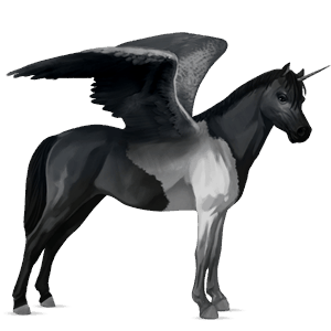 winged unicorn pony  fjord ulsblakk