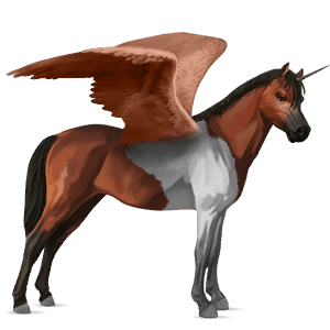 winged unicorn pony  newfoundland pony flaxen chestnut 