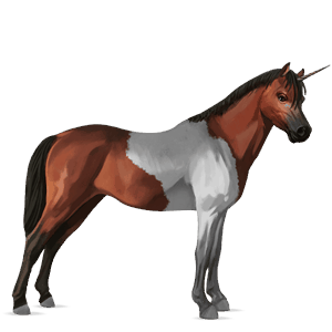 riding unicorn paint horse cherry bay tobiano