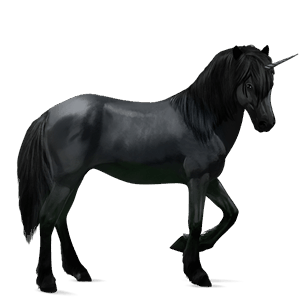 riding unicorn icelandic horse black