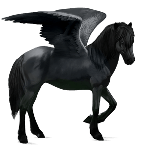 riding pegasus tennessee walker black