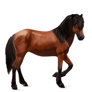 riding horse paint horse dark bay overo