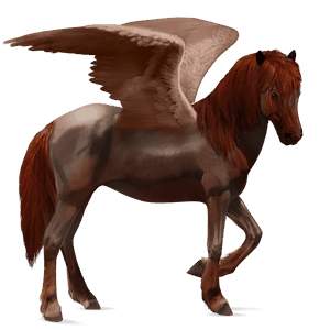 riding pegasus quarter horse strawberry roan