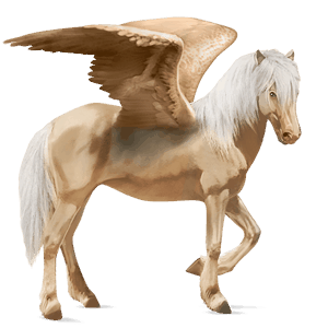 riding pegasus icelandic horse palomino