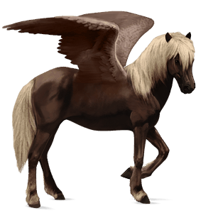 riding pegasus finnish flaxen liver chestnut 
