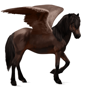 riding pegasus arabian horse dark bay