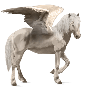 riding pegasus vanner flaxen liver chestnut 