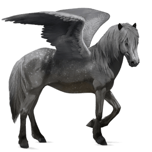 riding pegasus quarter horse dapple gray