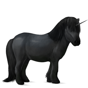 donkey unicorn black