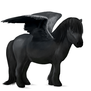 pegasus pony black