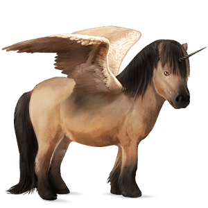winged unicorn pony  dun