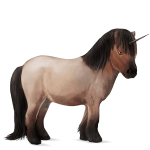 unicorn pony shetland roan
