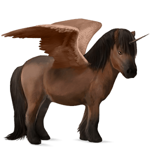 winged unicorn pony  shetland bay