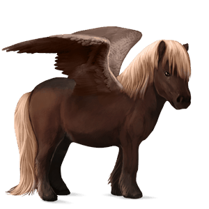 pegasus pony shetland flaxen liver chestnut 