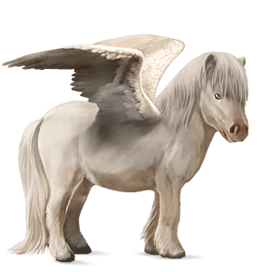 pegasus pony fjord gulblakk