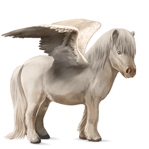 pegasus pony gulblakk