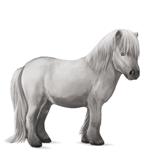 pony light gray