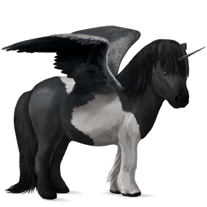 winged unicorn pony  black tobiano