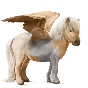 pegasus pony welsh mouse gray