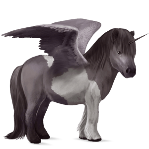 winged unicorn pony  mouse gray tobiano