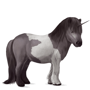 unicorn pony shetland dapple gray