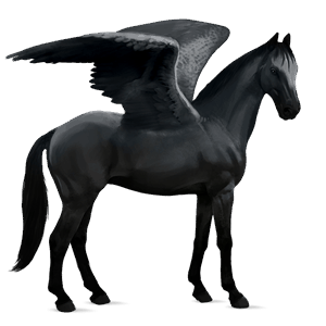 riding pegasus thoroughbred cherry bay