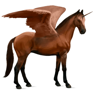 winged riding unicorn quarter horse cherry bay