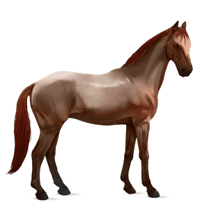 riding horse quarter horse cremello