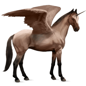 winged riding unicorn roan