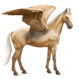 riding pegasus quarter horse palomino