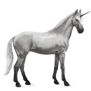 riding unicorn arabian horse fleabitten gray